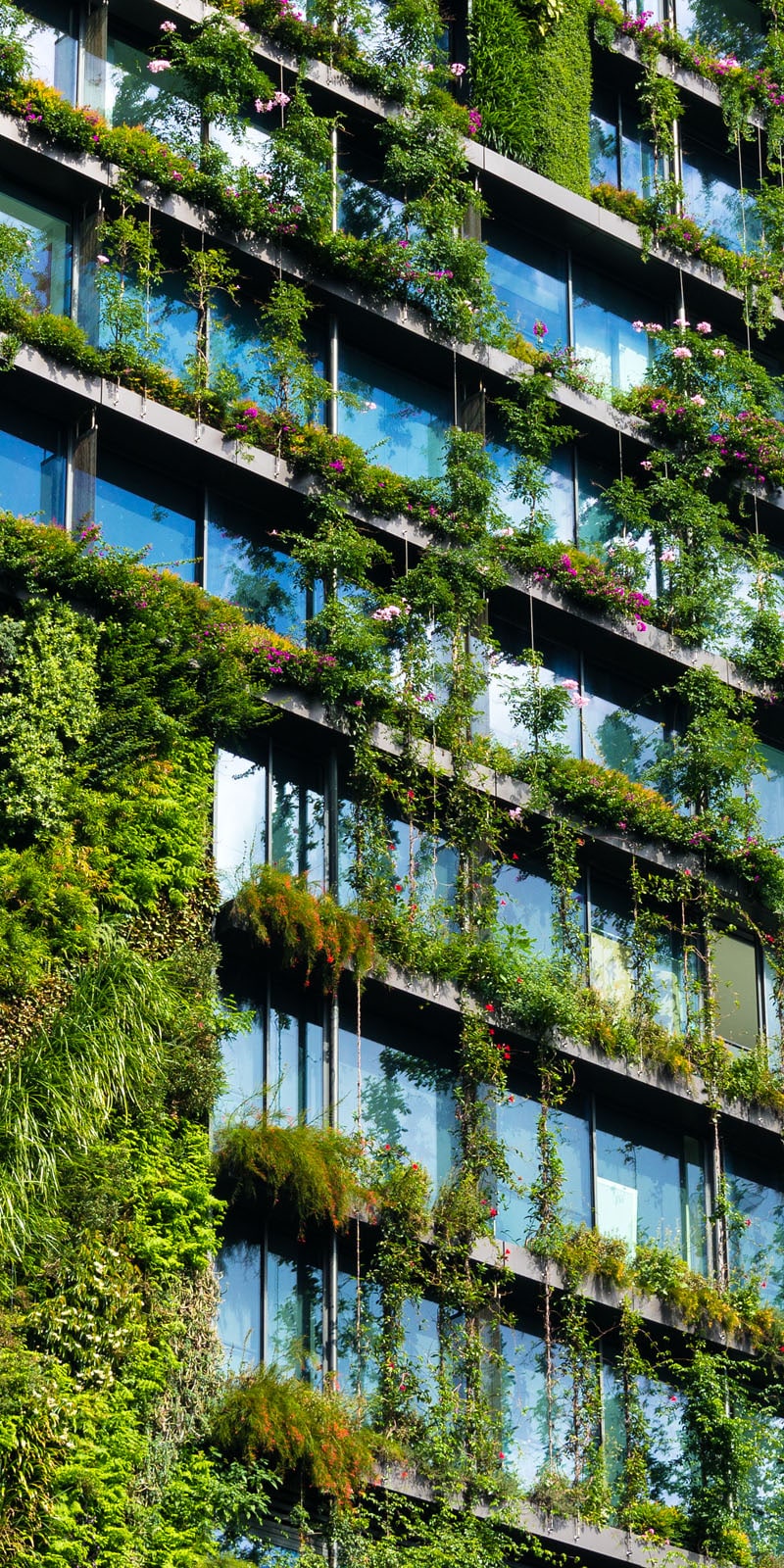 Green,Skyscraper,Building,With,Plants,Growing,On,The,Facade.,Ecology